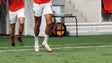Imagem de Barreiros com o melhor relvado da jornada nos «campos» da I Liga