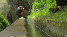 Turismo da Madeira supera todos os recordes (vídeo)