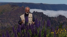 Imagem de Raimundo Quintal lamenta atraso da candidatura das levadas da Madeira a Património da Humanidade