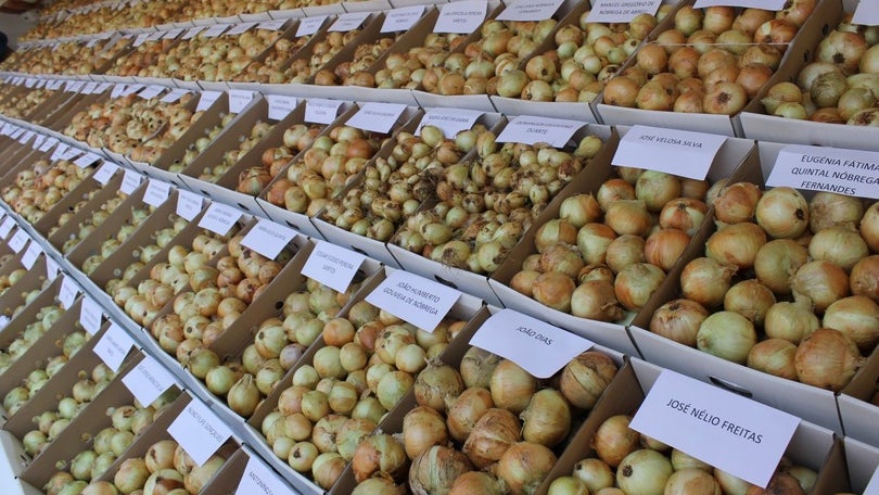 Festa da Cebola acontece no fim de semana no Caniço