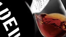 Imagem de Especialistas do setor do vinho de sete países receberam formação sobre o Vinho Madeira (Vídeo)