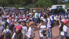 Imagem de Dia da Agricultura celebrado nos Açores (Vídeo)