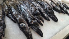 Imagem de Vendedores de peixe queixam-se da falta de clientes