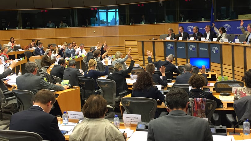 Imagem de Parlamento Europeu aprova propostas que protegem banana da Madeira