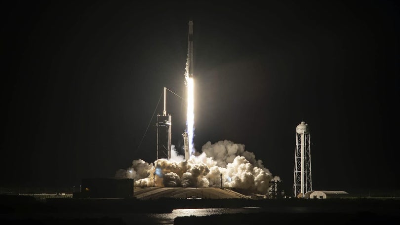 Imagem de Quatro turistas em cruzeiro espacial