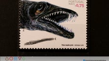 Imagem de Museu de Imprensa da Madeira expõe selos dedicados a Câmara de Lobos