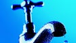 Funchal quer `poupar na conta da água`