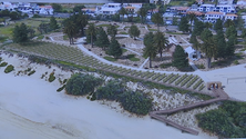 Imagem de Porto Santo vai ter parque público (vídeo)