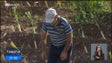 Imagem de 200 milhões de euros de novos fundos para a Política Agrícola Comum (vídeo)