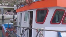 Imagem de Pescadores que desembarquem têm de cumprir quarentena (Vídeo)