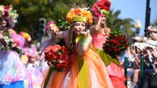 Imagem de Covid-19: Cortejo da Flor não vai acontecer este ano