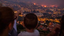 Parlamento Europeu deve aprovar apoio de 4 milhões de euros para os incêndios da Madeira