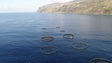 Imagem de Conferência da Sociedade Europeia de Aquicultura com 1200 participantes