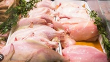 Imagem de Portugal pode exportar carne fresca de aves e mel para o Chile