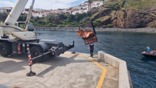 Imagem de Porto da Casa no Corvo reaberto à navegação