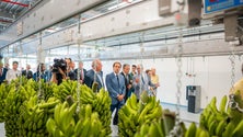 Imagem de GESBA investe 14 milhões de euros em centro de processamento (vídeo)