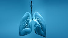 Imagem de Doença pulmonar crónica é a 3.ª causa de morte na Madeira