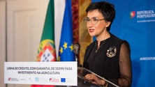 Imagem de Governo assegura continuação de apoios ao setor pesqueiro