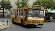 Imagem de Horários do Funchal reforça carreiras e repõe horários de atendimento