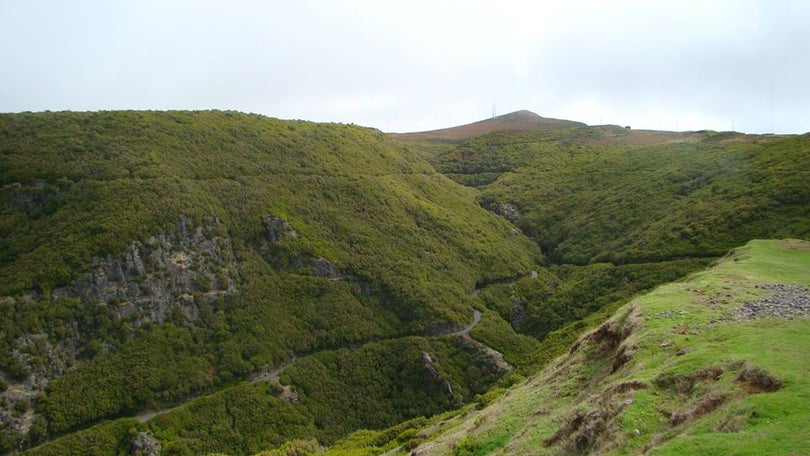 Imagem de Dois turistas desaparecidos nas serras da Madeira já foram encontrados