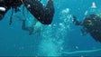 500 mergulhos na Corveta Afonso Cerqueira em três meses