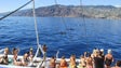 Imagem de A Madeira quer ser considerada um “oásis” de baleias e golfinhos