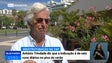 Covid-19: TAP deverá manter 6 voos diários para a Madeira no pico do verão, diz António Trindade (Vídeo)