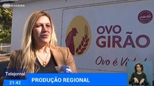 Imagem de Covid-19: Empresas madeirenses com perdas acentuadas nas vendas (Vídeo)