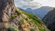 Imagem de MIUT volta a integrar o circuito mundial de ultra-trail running em 2021