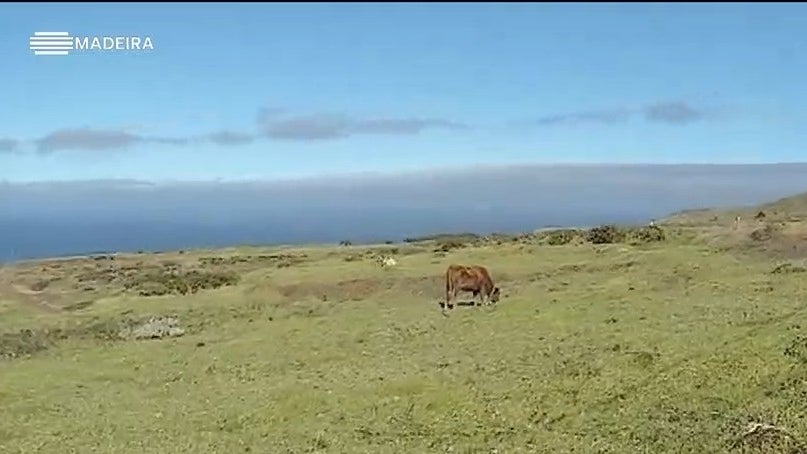 Imagem de Campo de golfe da Ponta do Pargo vai custar cerca de 13 milhões de euros
