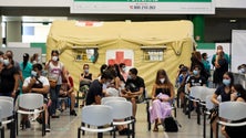 Imagem de Adolescentes da Madeira deram `sinal de maturidade`