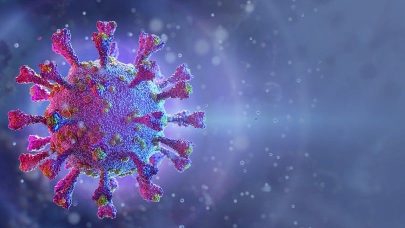 Covid-19: África do Sul deteta nova variante do Coronavírus