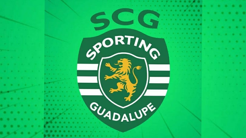 Imagem de Garra de leão