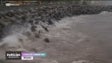 Imagem de Câmara do Funchal estuda soluções para famílias (vídeo)