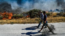 Imagem de Fogo em Ourém propaga-se a «grande velocidade»