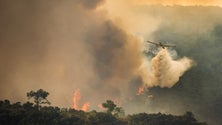 Imagem de Incêndios: Mais de 20 concelhos em risco muito elevado