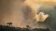 Imagem de Incêndios: Mais de 20 concelhos em risco muito elevado