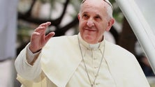 Imagem de Papa Francisco apela para que luta contra a malária não seja esquecida