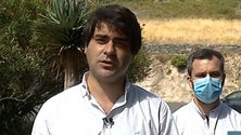 Imagem de CDS destaca investimento no Faial (áudio)