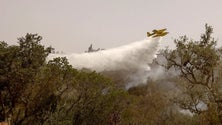 Imagem de Reacendimento em Odemira mobiliza 144 bombeiros