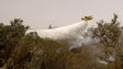 Imagem de Reacendimento em Odemira mobiliza 144 bombeiros