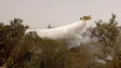 Reacendimento em Odemira mobiliza 144 bombeiros
