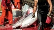 Imagem de PE pede instrumento financeiro para apoiar pescas em regiões como Açores e Madeira