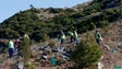 Faixa corta fogo entre o Pico do Prado e o Pico do Curral fica concluída até abril