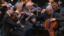 Imagem de Sala de concertos da Madeira é um sonho realizado (vídeo)