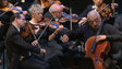 Imagem de Sala de concertos da Madeira é um sonho realizado (vídeo)