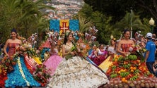 Imagem de Festa da Flor já tem novas datas (Áudio)