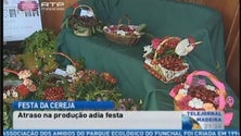 Festa da cereja no Jardim da Serra (Vídeo)