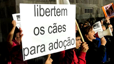 Imagem de Mais de 100 pessoas manifestam-se ontem contra a violência animal