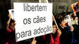 Imagem de Mais de 100 pessoas manifestam-se ontem contra a violência animal